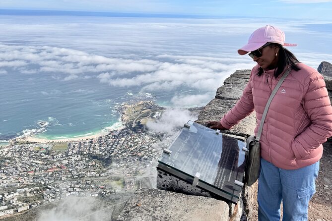 Table Mountain and Penguins Private Half Day Tour - A fast route through Cape Town’s biggest sights