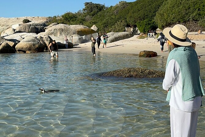 Table Mountain and Penguins Private Half Day Tour - Chapman’s Peak is the scenic road highlight