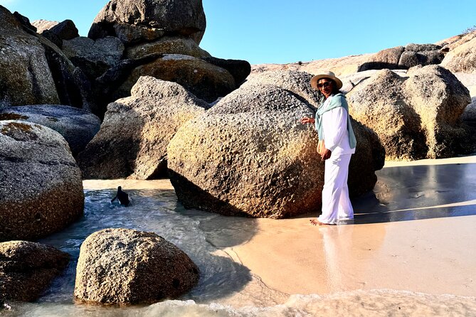 Table Mountain and Penguins Private Half Day Tour - Boulders Beach brings you close to African penguins