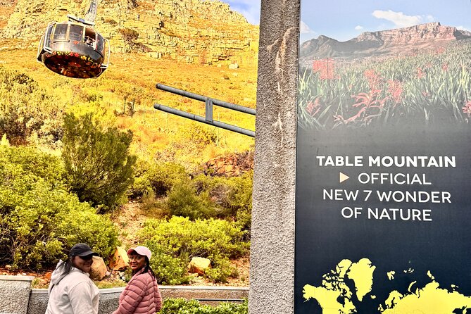Table Mountain and Penguins Private Half Day Tour - Table Mountain requires planning and weather luck