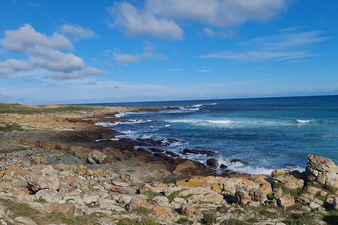 Table Mountain, Boulder's Penguins, Cape of Good Hope&Cape Point - Boulders Beach and African penguins