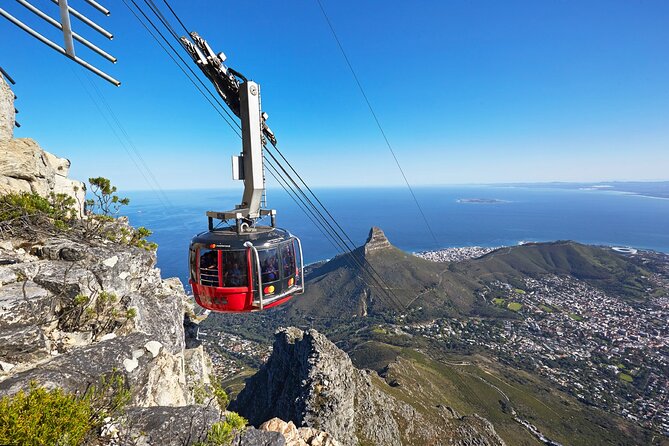 Table Mountain, Boulder's Penguins, Cape of Good Hope&Cape Point - What the $276.20 price really covers