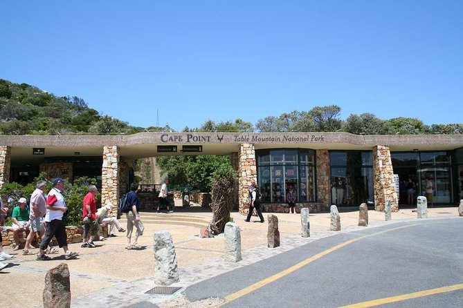 Table Mountain, Cape of Good Hope & Penguins - Meeting African penguins at Boulders Beach