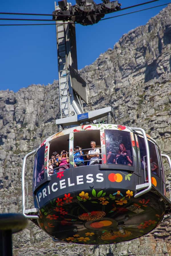 Table Mountain, Cape Of Good Hope, Penguins, Full Day Tour - Key points at a glance