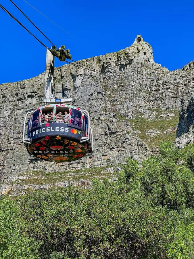 Table Mountain, Cape Of Good Hope, Penguins, Full Day Tour - Table Mountain before the crowds and coastal road