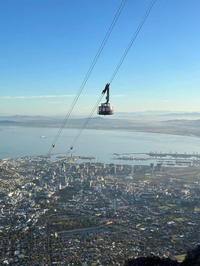 Table Mountain, Cape Of Good Hope, Penguins, Full Day Tour - Cape of Good Hope brings cliffs, wildlife, and two ocean currents