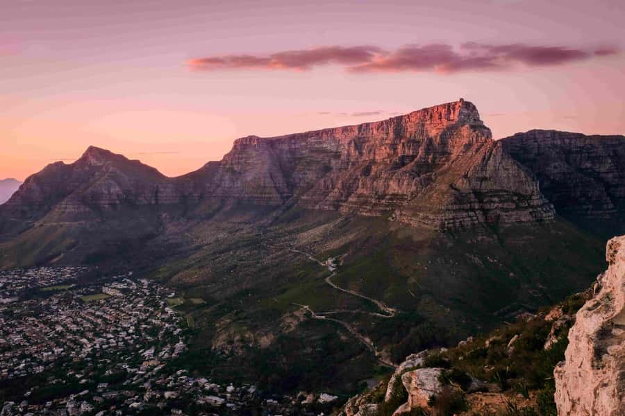 Table Mountain, Cape of Good Hope & Penguins Private Tour - Table Mountain from above