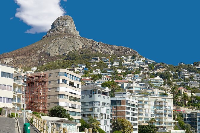 Table Mountain, Cape Point & Penguin Beach ENTRANCE INCLUDED - Fish Hoek gives you an hour for lunch