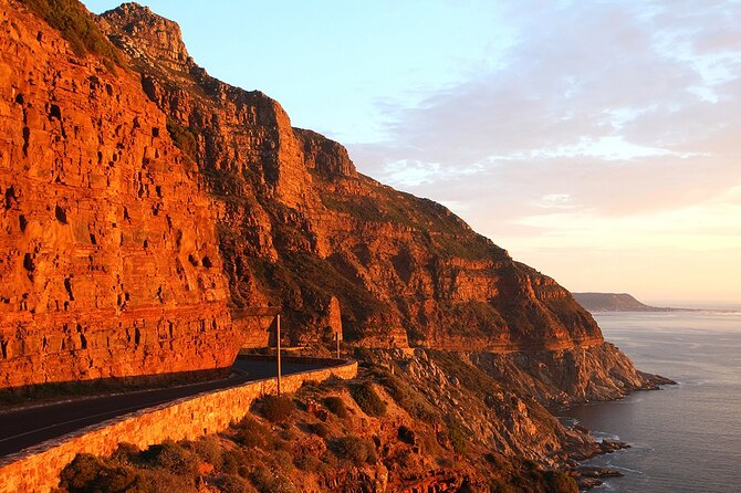 Table Mountain, Cape Point & Penguin Beach ENTRANCE INCLUDED - What the $280 price really covers