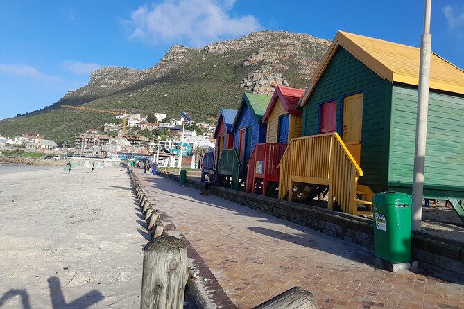 Table Mountain Cape Point Penguin Groot Constantia Private Tour - Chapman’s Peak and the road to the penguins