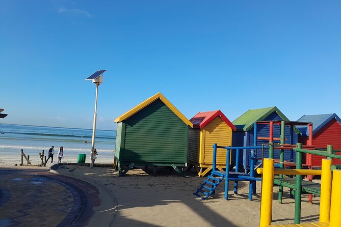 Table Mountain Cape Point Penguin Groot Constantia Private Tour - Cape of Good Hope and the old lighthouse