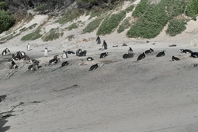 Table Mountain Cape Point Penguin Groot Constantia Private Tour - Reaching Cape Point and the two ocean currents