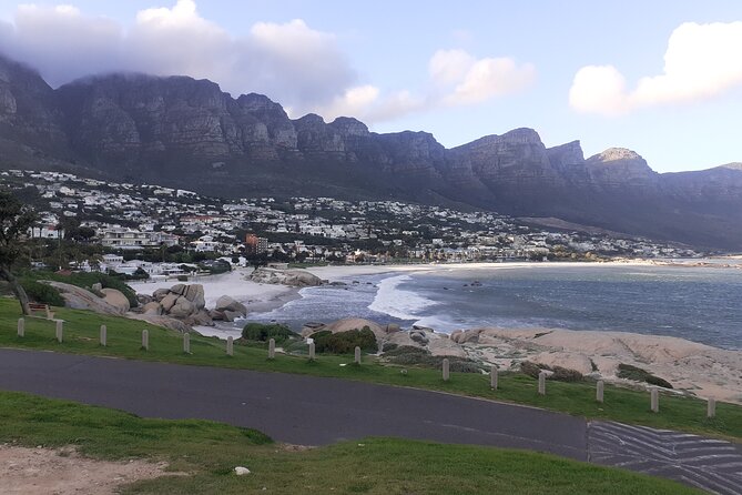 Table Mountain, Cape Point & Penguins Private ,From Cape Town - African penguins at Boulders Beach
