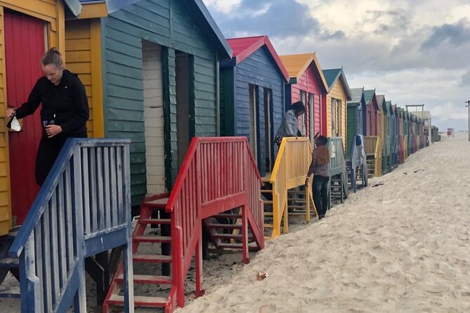 Table Mountain,Cape Point & Penguins Shared Tour, From Cape Town - The ostrich stop is brief and exactly what it promises