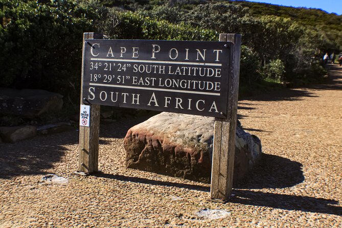 Table Mountain, Chapmans Peak Drive, Cape Point & Penguins - Why the private format matters