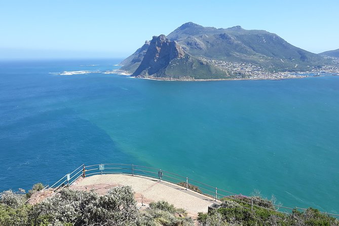 Table Mountain, penguin and Cape of good hope Fees included - Cape Point offers a choice between walking and the funicular