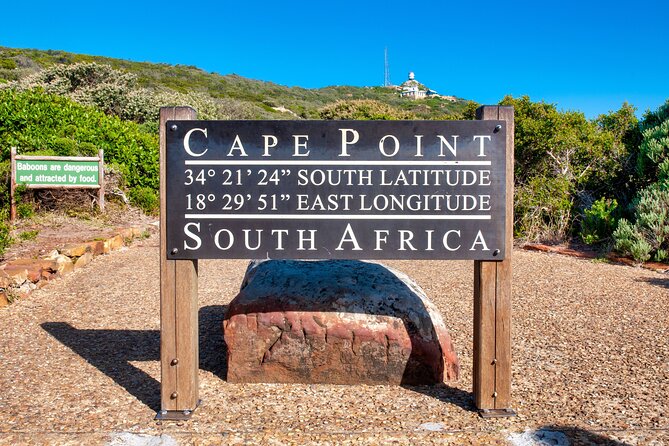 Table Mountain, Penguin,Cape Point Private Day Tour in Cape Town - Noordhoek and the quieter side of the peninsula