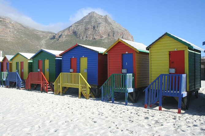 Table Mountain, Penguin,Cape Point Private Day Tour in Cape Town - Boulders Beach and African penguins