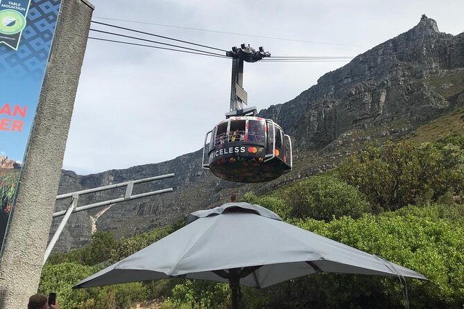 Table Mountain, Penguins and Cape Point Sharing GroupTour - Why this tour makes sense for a first day in Cape Town