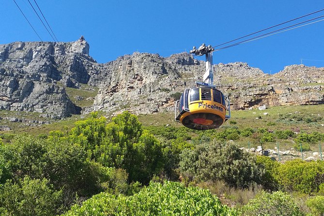 Table Mountain, Penguins, Cape of good hope and Stellenbosch tour - Cape Point and the Cape of Good Hope need sturdy shoes