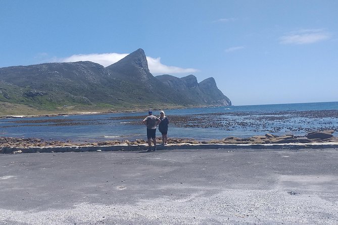 Table Mountain, Penguins, Cape of good hope and Stellenbosch tour - Boulders Beach brings you close to African penguins