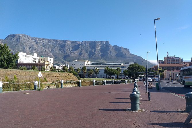 Table Mountain, Penguins, Cape of good hope and Stellenbosch tour - Table Mountain: the essential ticket is included
