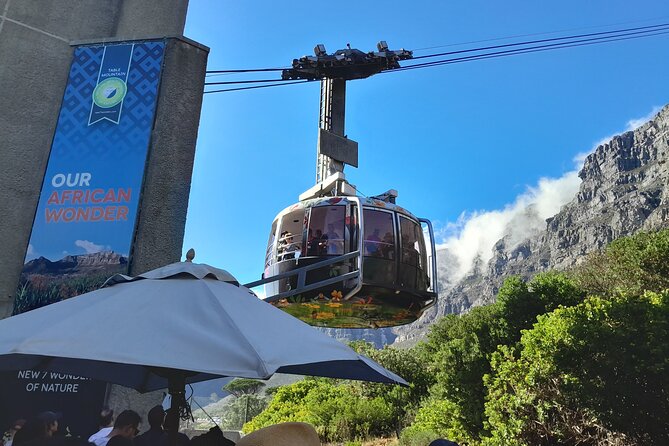 Table Mountain, Penguins, Cape of Good Hope: Private Tour - Key points to know before booking