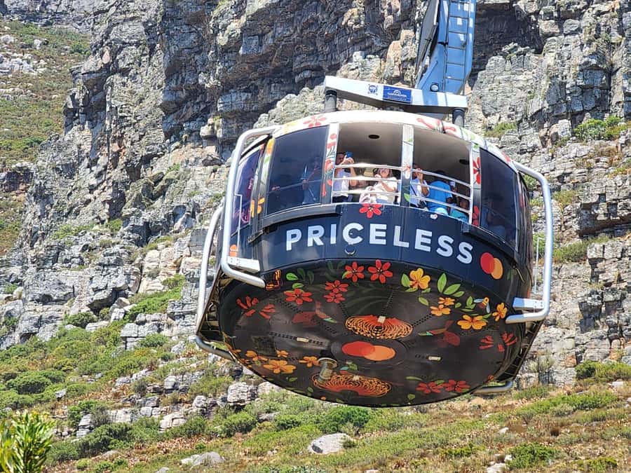 Table Mountain, Penguins & Cape of Good Hope Private Tour - The extra fees you should add before booking