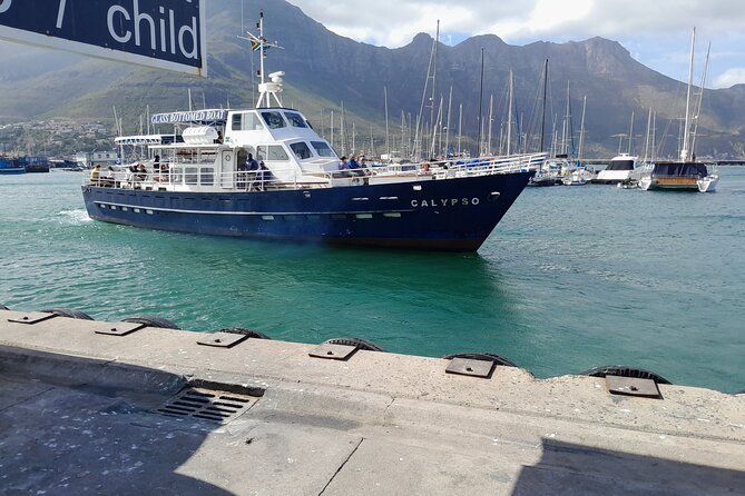 Table Mountain, Penguins, Cape of Good Hope: Private Tour - Maidens’ Cove and Hout Bay