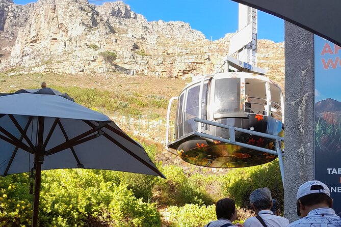 Table Mountain, Penguins, Cape of Good Hope: Private Tour - Noordhoek and Chapman’s Peak Drive