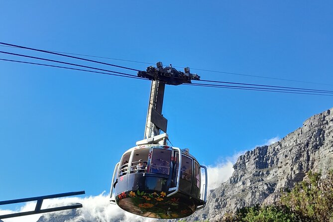 Table Mountain, Penguins, Cape of Good Hope: Private Tour - Muizenberg closes the coastal loop