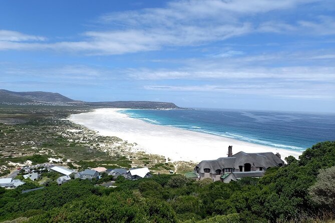 Table Mountain, Penguins & Cape of Good Hope Small Group Tour - Chapman’s Peak turns the road into an attraction
