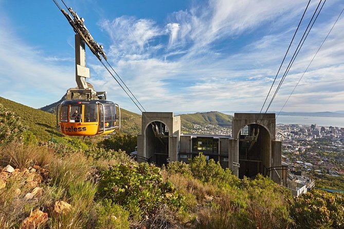 Table Mountain, Penguins Colony and Cape of Good Hope Small Group Shared Tour - Muizenberg closes the loop