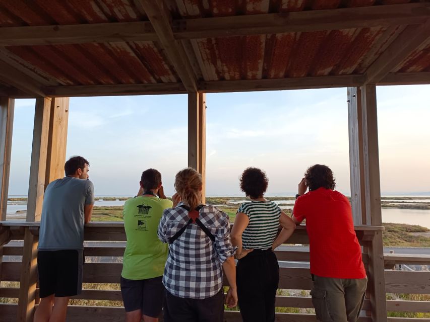 Tarragona: Southern Delta Birdwatching Private Tour - Poble Nou del Delta and Its Small White Houses