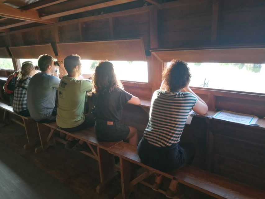 Tarragona: Southern Delta Birdwatching Private Tour - El Trabucador, Salt Flats, and Open Delta Scenery