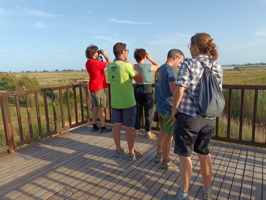 Tarragona: Southern Delta Birdwatching Private Tour - Who Will Get the Most From This Tour