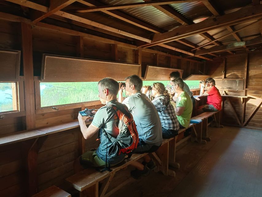 Tarragona: Southern Delta Birdwatching Private Tour - Alfacs Bay and the Flamingos at La Tancada