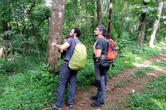 Thattekad Guided Bird Walk. - What makes the birding more than a simple walk