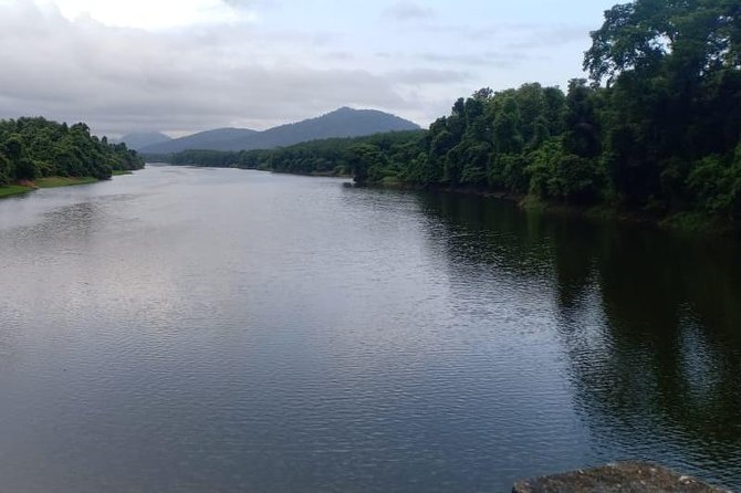 Thattekad Guided Bird Walk. - The short stream crossing and what to wear