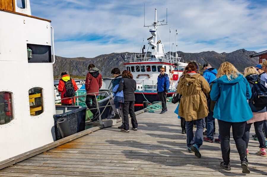 The Bird Safari Tour - From Honningsvåg to Gjesvær in 30 scenic minutes