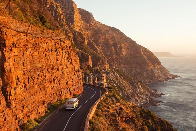 The Road Trip (Cape Point and Penguins) - Kalk Bay offers a slower half hour