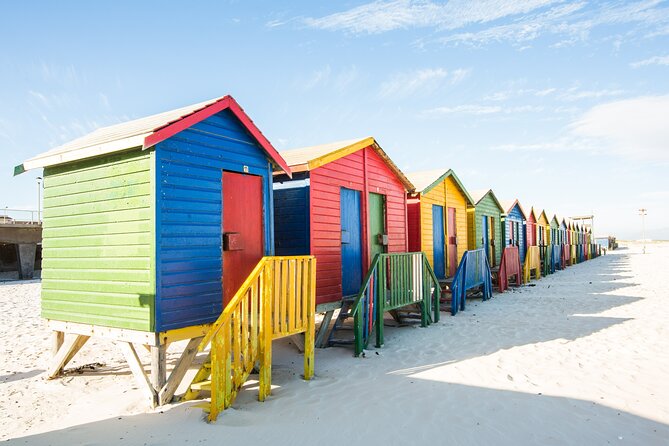 The Road Trip (Cape Point & Penguins) - Private Tour - Boulders Beach and the African penguin colony
