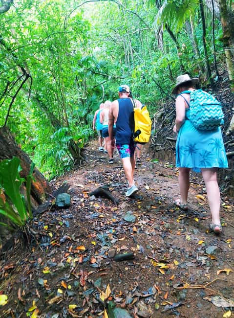 Tobago: Little Tobago Bird Sanctuary Visit and Boat Tour - Is the $150 price fair?
