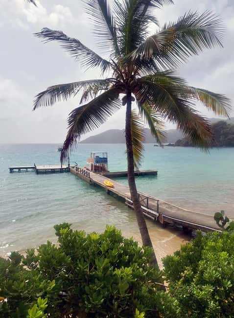 Tobago: Little Tobago Bird Sanctuary Visit and Boat Tour - Why this six-hour Tobago tour works so well