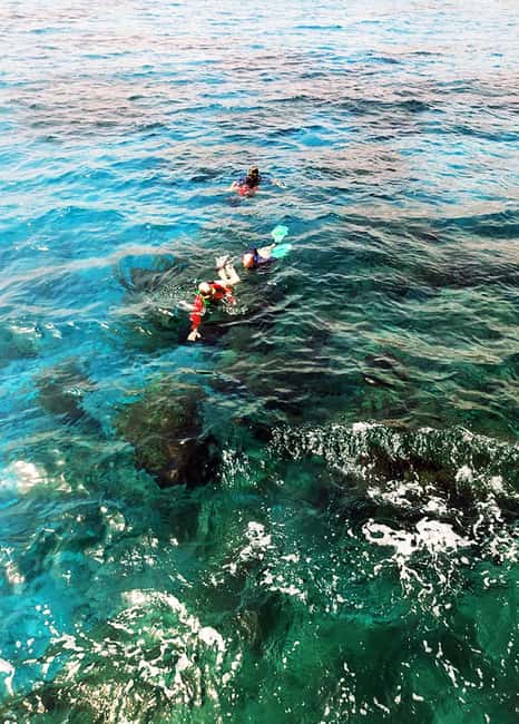 Tobago: Little Tobago Bird Sanctuary Visit and Boat Tour - Guides, drivers, and the human side of the day