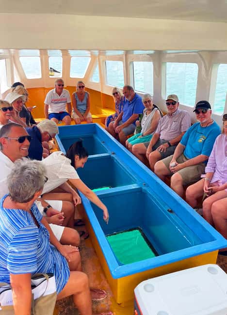 Tobago: Little Tobago Bird Sanctuary Visit and Boat Tour - The road to Speyside and the glass-bottom boat