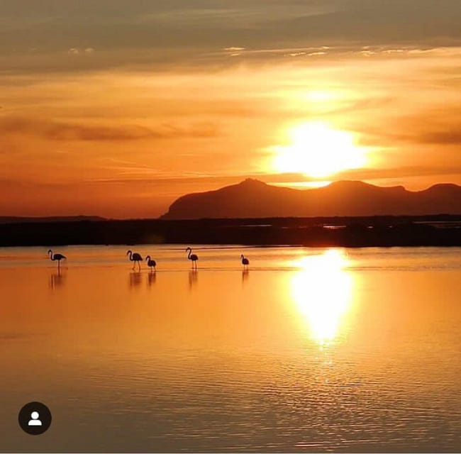 Trapani: Salt Pans Sunset Tour and Flamingo Way - Why Trapani’s salt pans are worth your evening