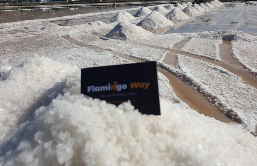 Trapani: Salt Pans Sunset Tour and Flamingo Way - Salina Chiusicella, salt piles, and working basins