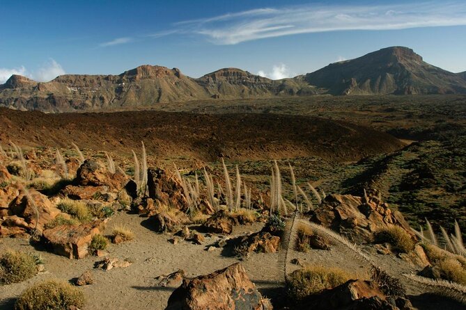 Trekking, wineries, birdwatching, local gastronomy, etc. - Key points to know before booking