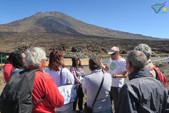 Trekking, wineries, birdwatching, local gastronomy, etc. - Why Tenerife’s volcanoes make the best use of six hours